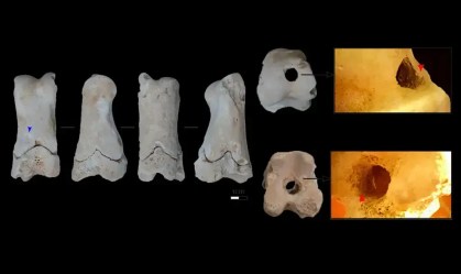 Fragmento ósseo de 3.300 anos, encontrado em Amarna, pode representar o primeiro apito funcional do Egito Antigo, possivelmente usado por guardas na vigilância das tumbas reais.