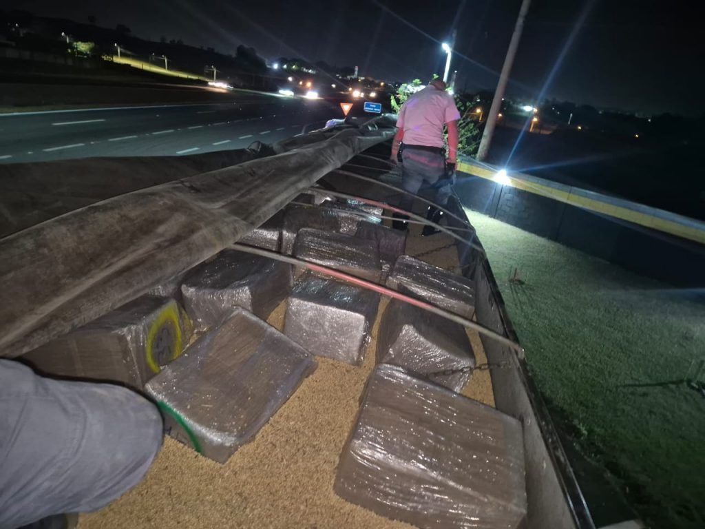Apreensão de 1 tonelada de maconha em São Paulo • Reprodução/SSP