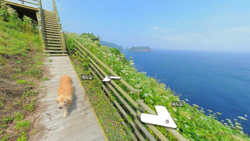Cachorro apelidado de Manu conduziu fotógrafo do Google por ilha japonesa