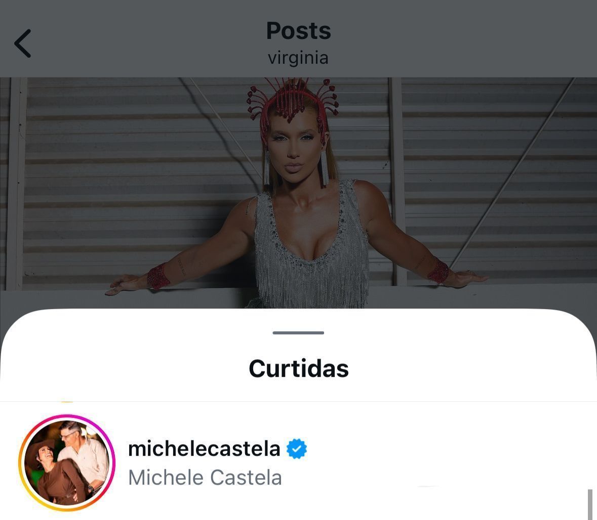 Mãe de Ana Castela curte foto de Virginia Fonseca • Reprodução/Instagram