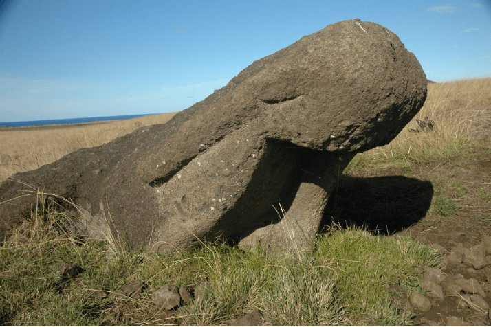 Exemplo de um moai que caiu e foi abandonado após uma tentativa de erguê-lo novamente por meio de escavação sob sua base, deixando-o parcialmente enterrado em um ângulo • Carl Lipo/Universidade de Binghamton