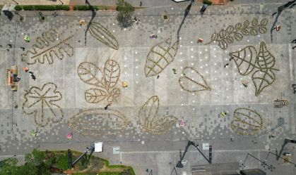 festival-jardins-comestiveis (1)