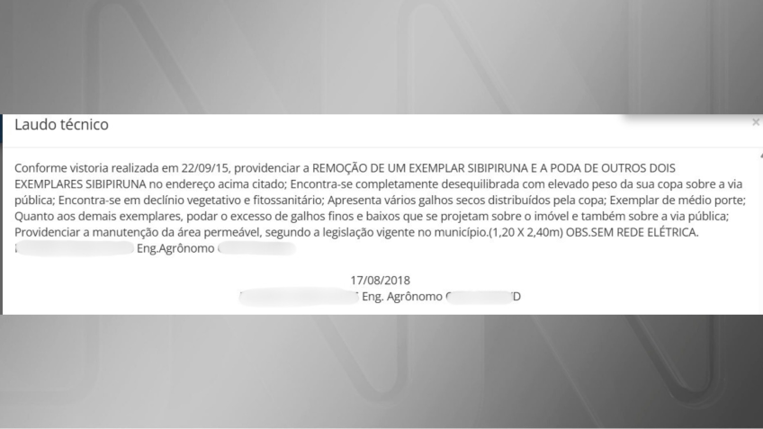 Em 2018 um engenheiro agrônomo emitiu um laudo • Arquivo pessoal/Bar do Rodela