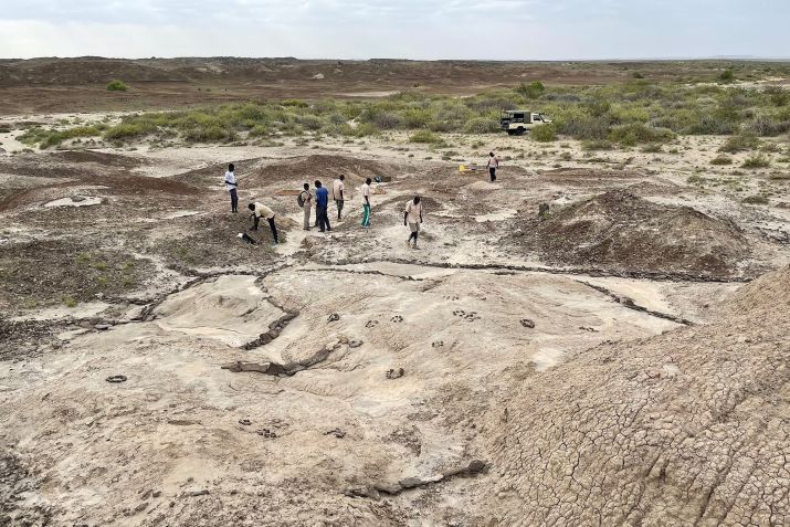 O sítio de Koobi Fora produziu uma rica variedade de fósseis, incluindo pegadas • Louise Leakey via CNN Newsource