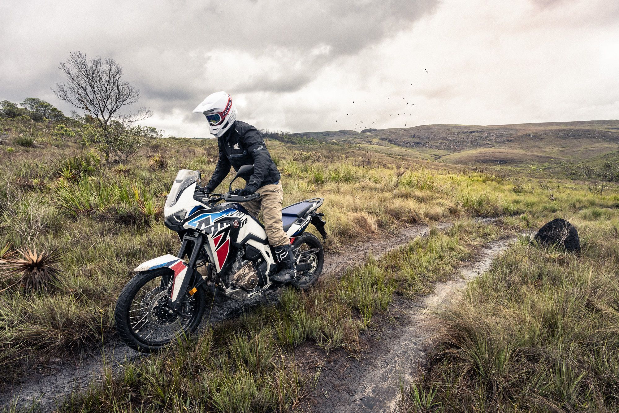 Honda CRF 1100L Africa Twin: big trail tem 99 cv • Divulgação