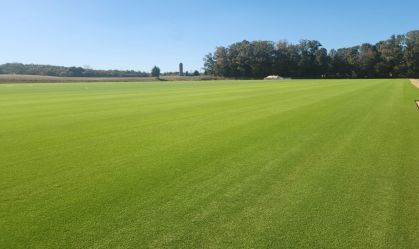 Futebol brasileiro ganha acesso a sistema de gramado da NFL; confira