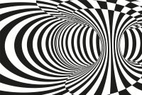 Animais também podem cair em ilusão de ótica? Novo estudo responde