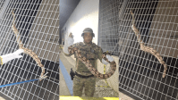 Bahia: Jiboia é resgatada no metrô de Salvador