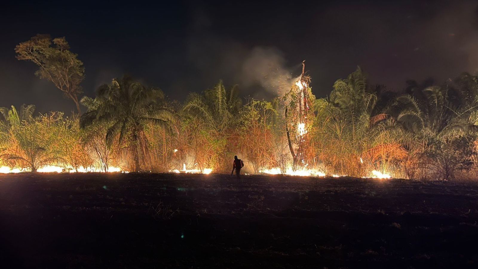 incendio parque ms (1)
