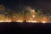 Incêndio em parque na região do Pantanal cresce e cidade pede ajuda