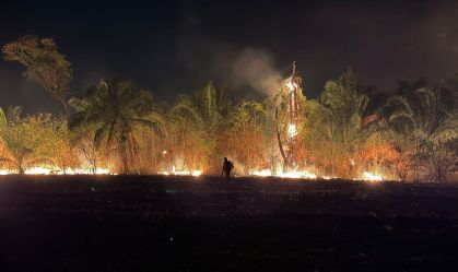 Incêndio em parque na região do Pantanal cresce e cidade pede ajuda