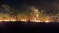 Incêndio em parque na região do Pantanal cresce e cidade pede ajuda