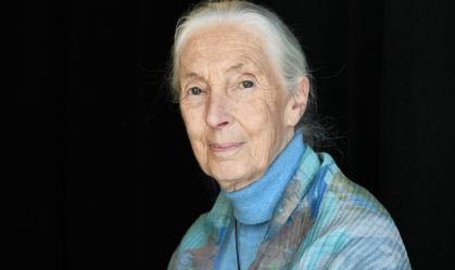 Morre Jane Goodall, responsável por revolucionar o estudo dos primatas