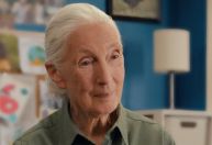Quem foi Jane Goodall, primatologista que morreu aos 91 anos