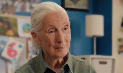 Quem foi Jane Goodall, primatologista que morreu aos 91 anos