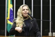 Hugo Motta pede ação do Itamaraty após deputada ser retida por Israel