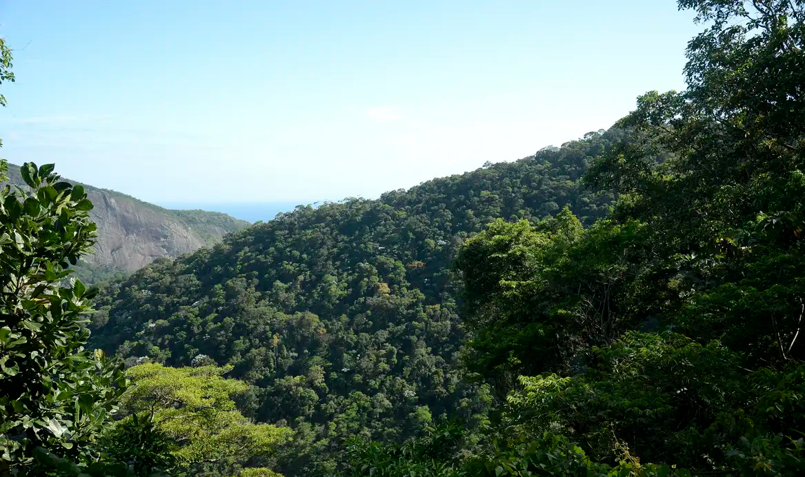 meioambiente