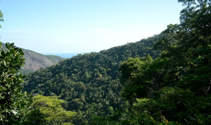 Investimentos privados em meio ambiente no Brasil somam R$ 48,2 bi em 2025