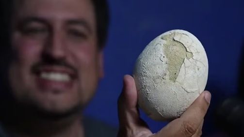 paleontólogo-mostra-ovo-de-dinossauro