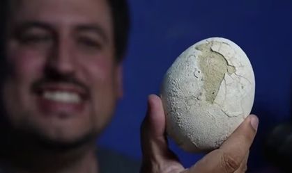Ovo de dinossauro de 70 milhões de anos é achado intacto na Patagônia