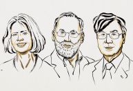 Quem são os vencedores do Prêmio Nobel de Medicina 2025?