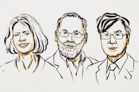 Quem são os vencedores do Prêmio Nobel de Medicina 2025?