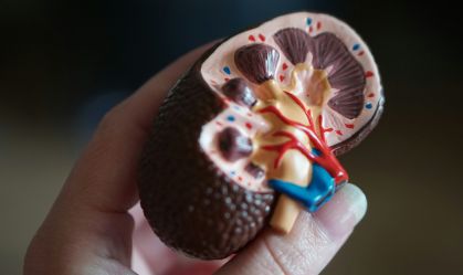 Mais de 170 mil brasileiros vivem em diálise por doença renal crônica