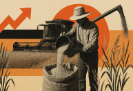 Acordo EUA-China para soja acende alerta, mas pode trazer oportunidades