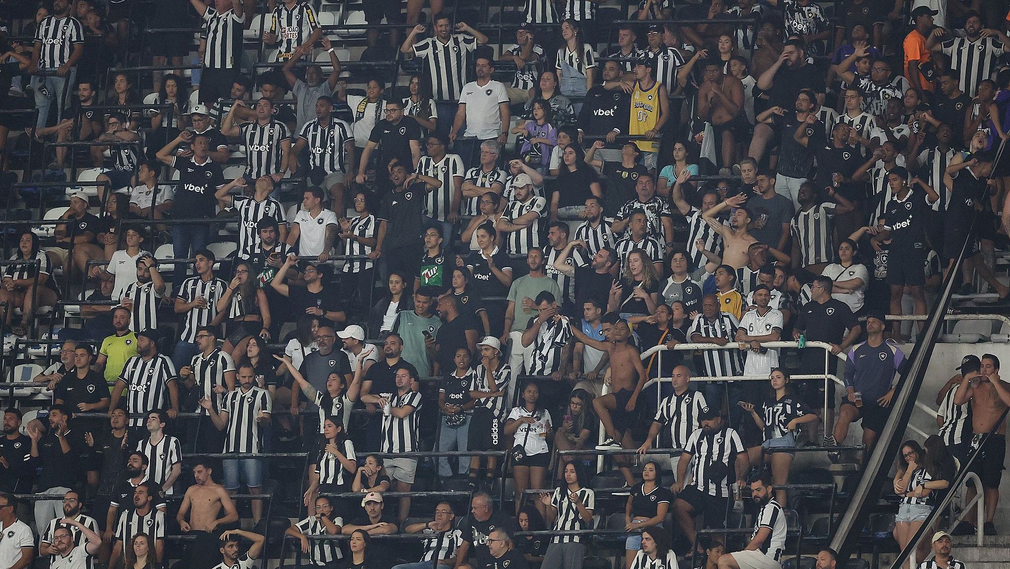 Torcida do Botafogo em partida contra o Bahia, pelo Brasileirão