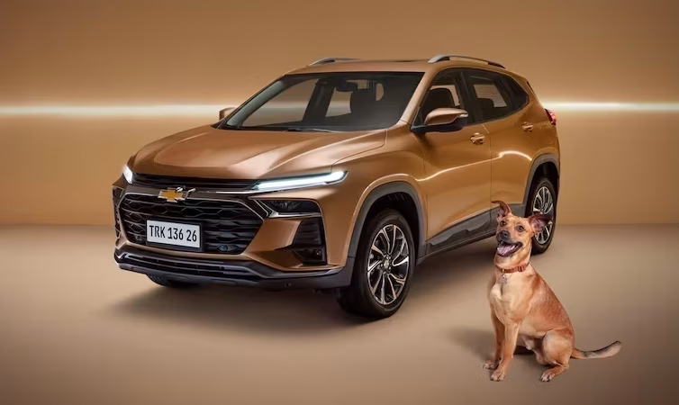 Chevrolet cria Tracker caramelo em homenagem ao cachorro ícone nacional