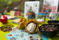 Conheça a Casa do Chocolate, fábrica no meio da floresta em Belém