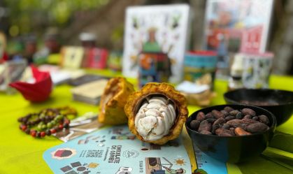 Conheça a Casa do Chocolate, fábrica no meio da floresta em Belém