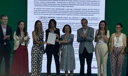1-setor-privado