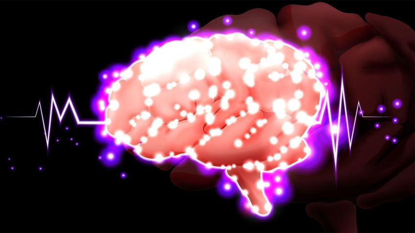 A estimulação cerebral profunda foi direcionada para o núcleo do leito da estria terminal (BNST) e para o núcleo accumbens • Kerfin7/Freepik