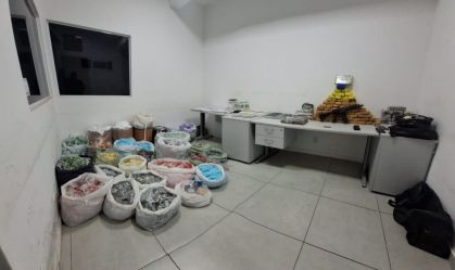 PM encontra casa com quase 300 kg de drogas do PCC em Sorocaba (SP)