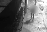 Vídeo: veterinária é baleada durante tentativa de roubo em Santo André