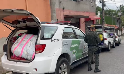 Operação mira influenciadores que promovem soltura de balões em SP