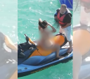 MP investiga vídeo pornô gravado em jet ski no mar de Maragogi (AL)