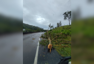 SP: Ciclone extratropical provoca estragos e deixa ao menos 18 desalojados
