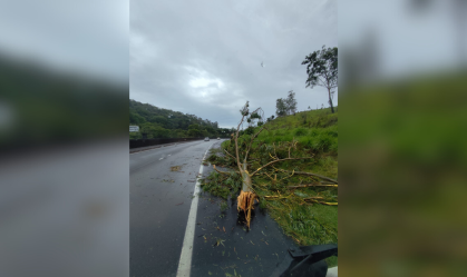 SP: Ciclone extratropical provoca estragos e deixa ao menos 18 desalojados