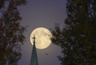Duas chuvas de meteoro e superlua: veja destaques do céu de dezembro