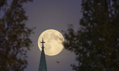 Super Beaver Moon