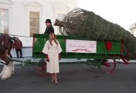 Melania Trump recebe árvore de Natal oficial da Casa Branca de 2025