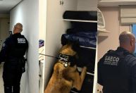 Operação investiga policial e psicóloga por tráfico em presídio no RS