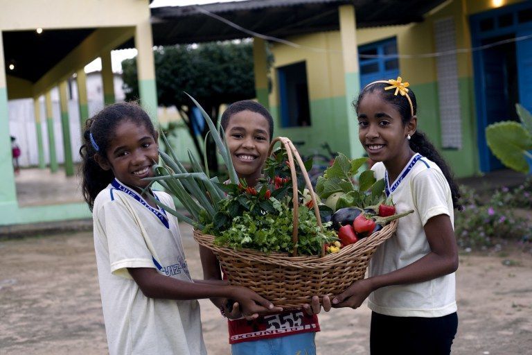 Três crianças seguram planta no campo