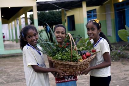 Três crianças seguram planta no campo