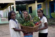 Novo Pronacampo: prazo para adesão é prorrogado até 30 de novembro