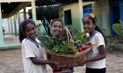 Três crianças seguram planta no campo