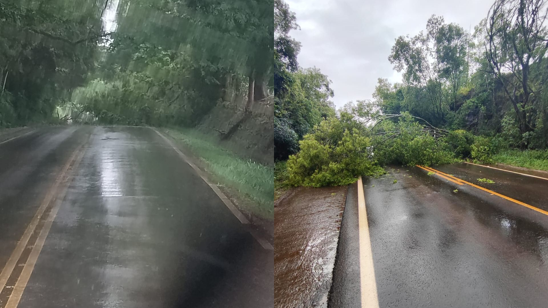 Temporais causam prejuízos em pelo menos 10 municípios gaúchos