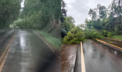 Temporais causam prejuízos em pelo menos 10 municípios gaúchos